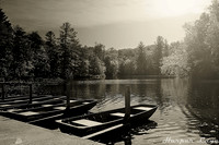 Cumberland Mtn. State Park